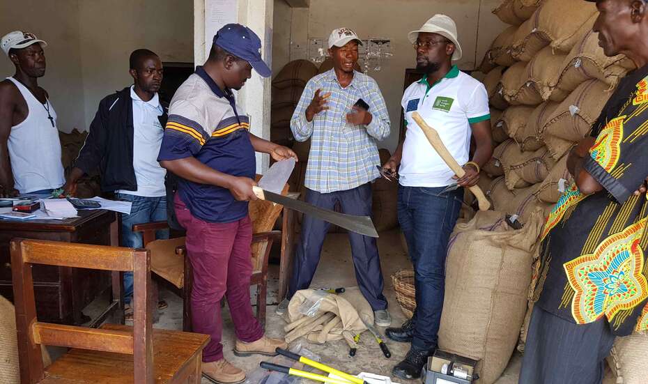 Kakaobauern_Starterkits_SierreLeone_Welthungerhilfe.jpg Kakaoarbeiter in Sierra Leone. Sie erhalten Start-Kits für den Kakaoanbau.