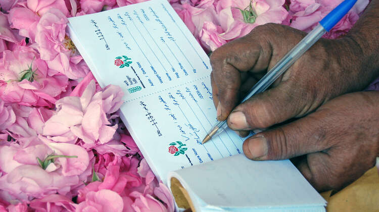 receipt about a rose delivery. receipt about a rose delivery.