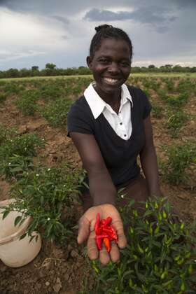 Chifambas Frau Tarisai hält lächelnd Chilischoten in die Kamera