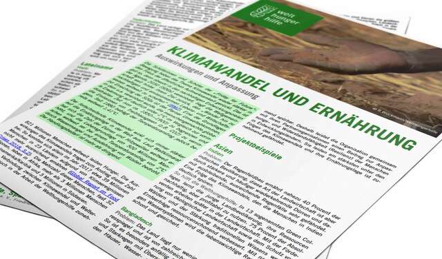 Factsheet: Klimawandel und Ernährung