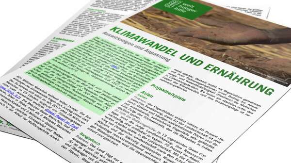 Cover vom Factsheet: Klimawandel und Ernährung