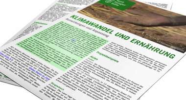 Factsheet: Klimawandel und Ernährung