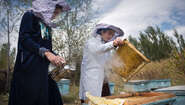 Imkerinnen in Tadschikistan