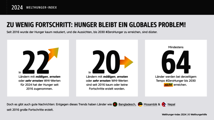 Grafik, die wesentliche Probleme aus dem Welthunger-Index aufzeigt