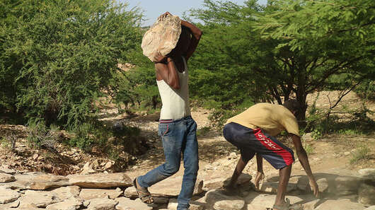 Männer tragen Steine und bauen einen Damm