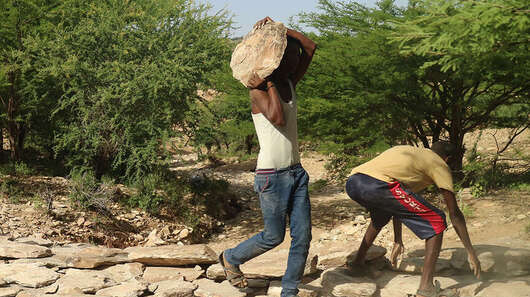 Männer tragen Steine und bauen einen Damm
