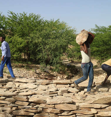 Kampf gegen Bodenerosion: Männer tragen Steine und bauen einen Damm.
