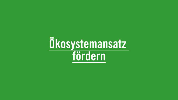 Ökosystemansatz fördern Agrarökologie verfolgt einen Ökosystemansatz und fördert die Unabhängigkeit von externen Betriebsmitteln wie Düngemittel und Pestiziden.