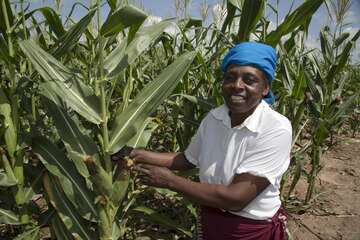 Nationale Wirtschaftskreisläufe und regionaler Handel müssen gefördert werden. © Welthungerhilfe/Braizer