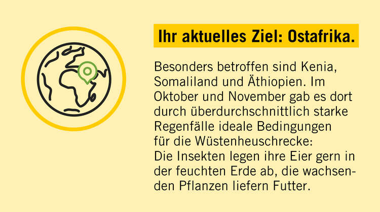 2020-illustration-heuschreckenposter-fact-07