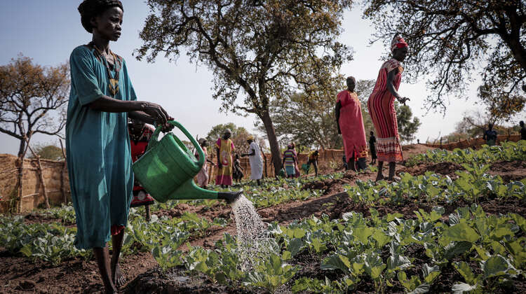 Frauen im Südsudan bewässern ihre Gemüsebeete