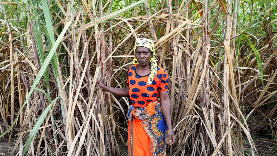 Eine Frau steht vor einem Maisfeld.