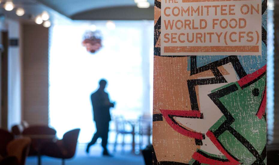 FAO_CFS_RAI.jpg