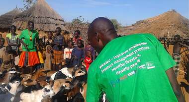 Menschen stehen um diverse Ziegen herum