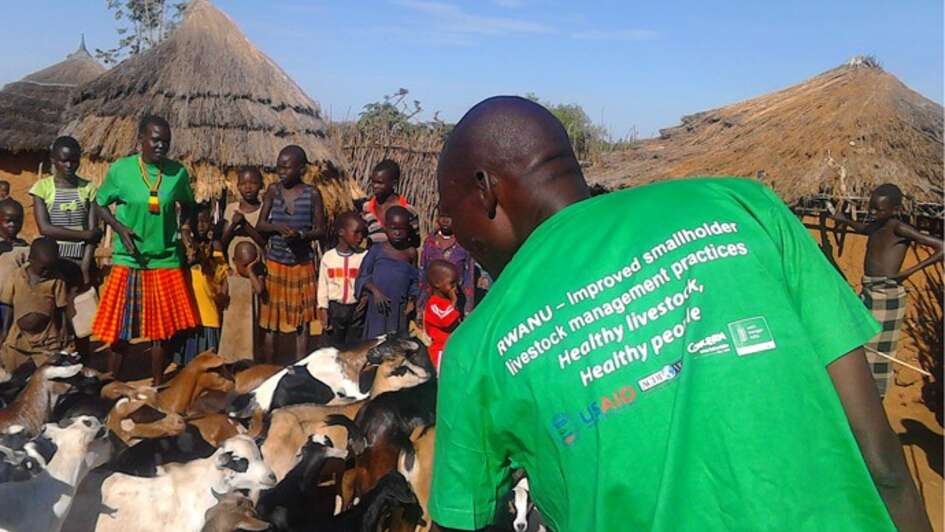 Menschen stehen um diverse Ziegen herum