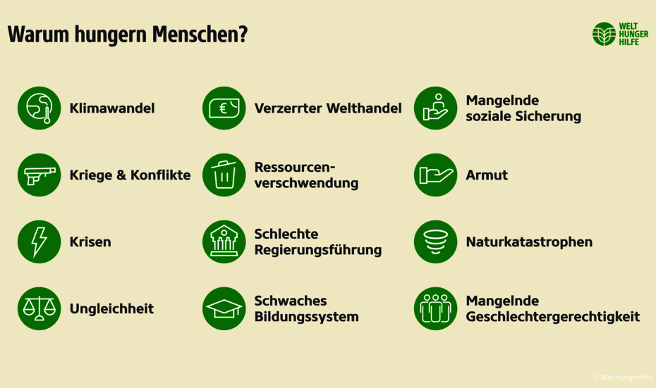 Infografik: Warum Menschen hungern