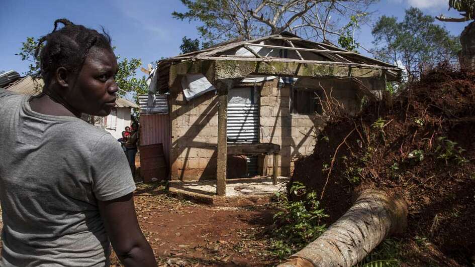 Ein Baum ist beinahe auf ein Haus gefallen.