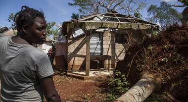 Ein Baum ist beinahe auf ein Haus gefallen.