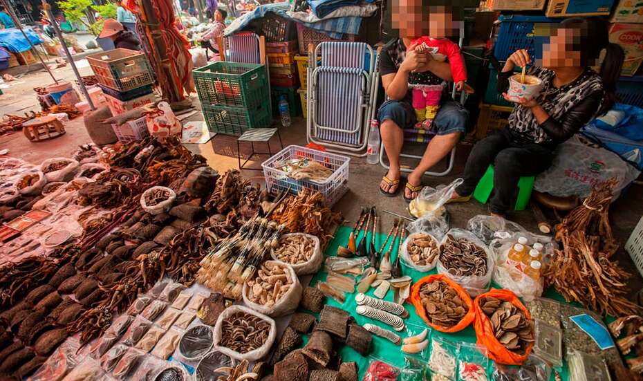 Markt_MongLa_prowildlife_kl.jpg Stand auf dem Wildtiermarkt in Mong La, Myanmar.