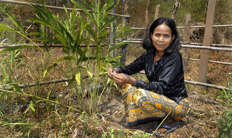 Frau beim Gemüse- und Kräuteranbau in Kambodscha