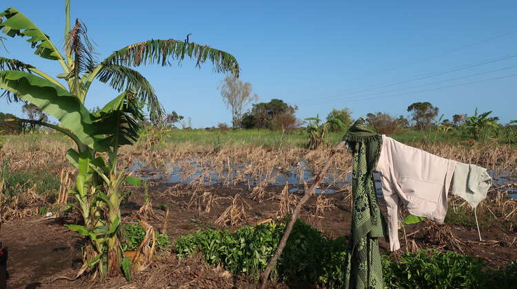 2019-4-wochen-nach-zyklon-idai-mozambique-geflutetes-feld-lamego-bandsom-welthungerhilfe.JPG geflutetes_Feld_Lamego