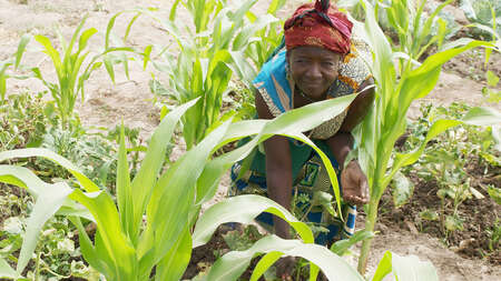 Eine Bäuerin arbeitet auf einem Feld
