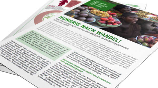 Teaserbild Policy Brief Hungrig nach Wandel