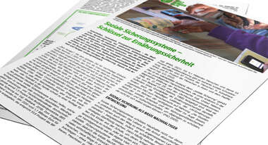 Teaserbild für Policy Brief über Soziale Sicherungssysteme