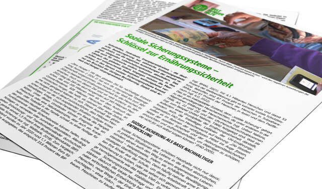 Teaserbild für Policy Brief über Soziale Sicherungssysteme