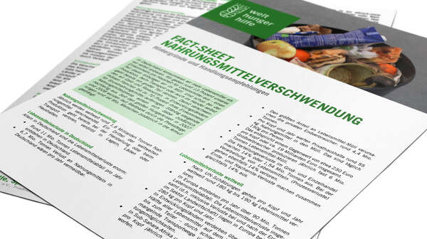 Fact-Sheet Lebensmittelverschwendung