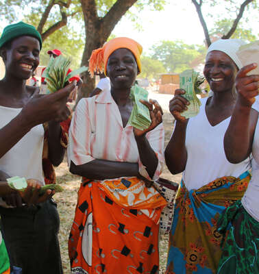 Fünf Frauen halten Geld in die Kamera, das sie als Kredit für ihre Unternehmensgründung erhalten haben.