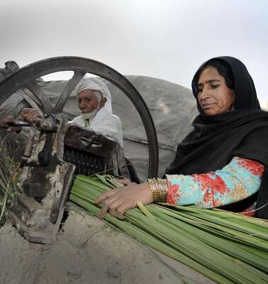 Sichere Lebensgrundlagen schaffen