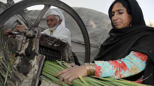 Sichere Lebensgrundlagen schaffen