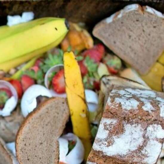 Abbildung von Lebensmitteln wie Bananen und Brot in einer Mülltonne. Zahlreiche Lebensmittel landen täglich im Müll. Es reicht mit der Lebensmittelverschwendung!