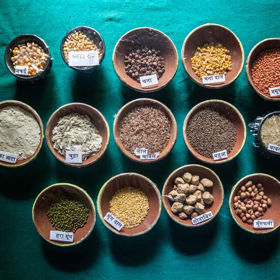 Lokale Zutaten in verschiedenen Schalen