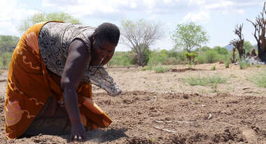 Jenifer Dokali (42) aus dem Chiwalo Village Nahe Mangochi in Malawi ist seit August 2017 Leadfarmerin in ihrem Dorf. Auf ihrem bislang monokulturellen Feld, richtet sie nun auch ein Permakulturfeld an.