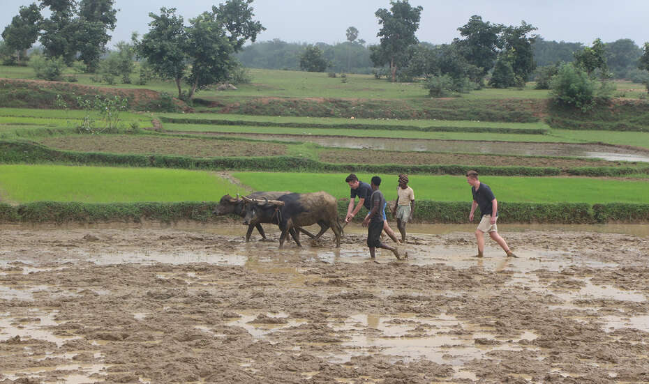 Mit Tier und Werkzeug kämpfen sich die deutschen Azubis durch den Matsch.