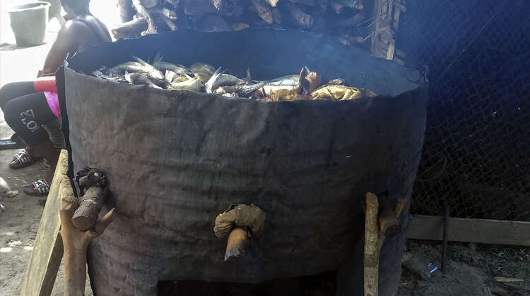 2019-fischer-liberia-raeuchern-C_Chelleh-Mitchell-16-9.jpg Geräucherte Fische