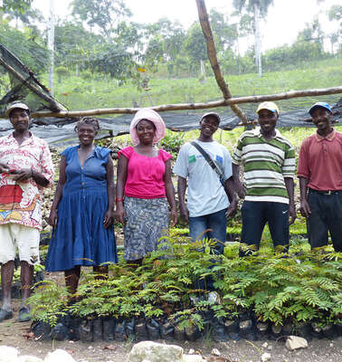 Sechs Menschen stehen in einer Reihe, vor ihnen viele Setzlinge.