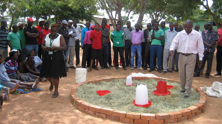 Gruppenfoto: Menschen lernen über Kükenhaltung.