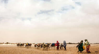 Frauen mit ihren Eseln auf dem Weg zu einer Wasserstelle