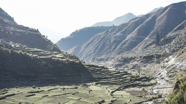 2019-nepal-reisfelder-originalbootcamp-landschaft-wandern-C_Chris_Adelmann.jpg Reisfelder in Nepal, 2019.