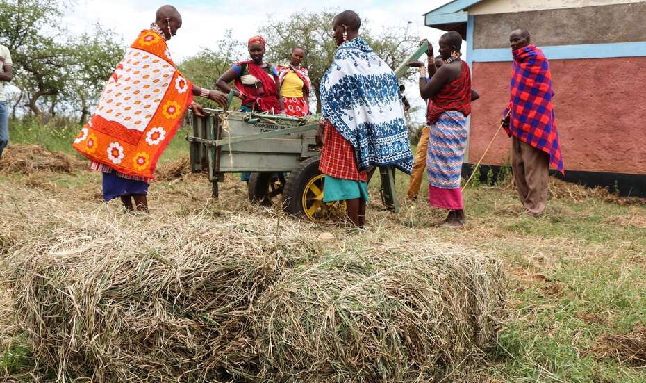 Neues Leben in Zeiten des Klimawandels