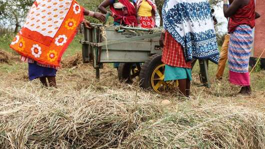 Neues Leben in Zeiten des Klimawandels
