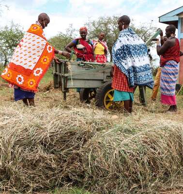 Neues Leben in Zeiten des Klimawandels