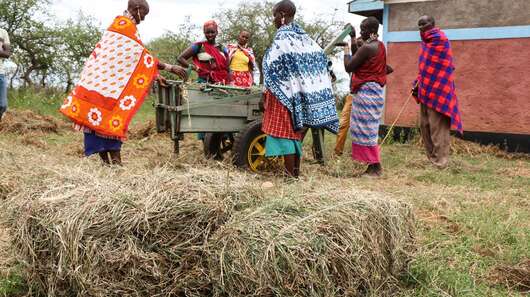 Neues Leben in Zeiten des Klimawandels