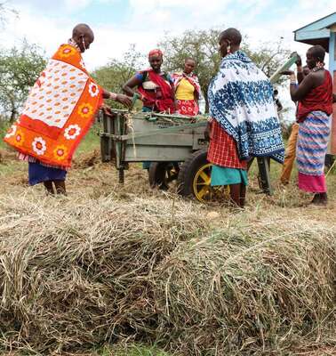 Neues Leben in Zeiten des Klimawandels