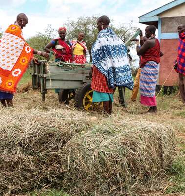 Neues Leben in Zeiten des Klimawandels