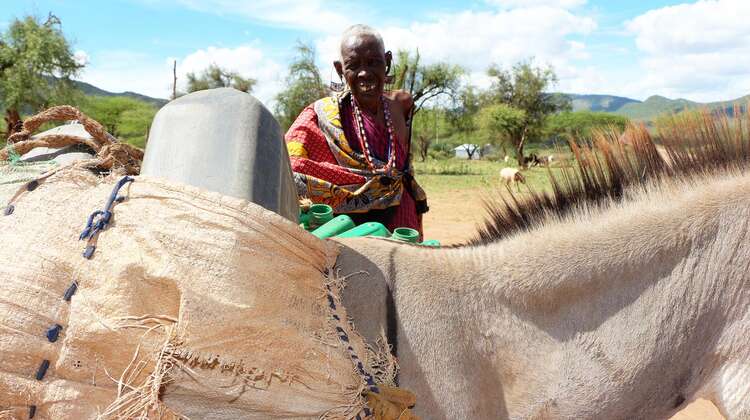 Wasserbesorgung in Kenia Eine Massai-Frau in Kenia holt mit ihrem Esel Wasser an einem Bohrloch der Welthungerhilfe.