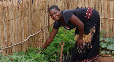 Permakultur, Malawi, Frau im Garten